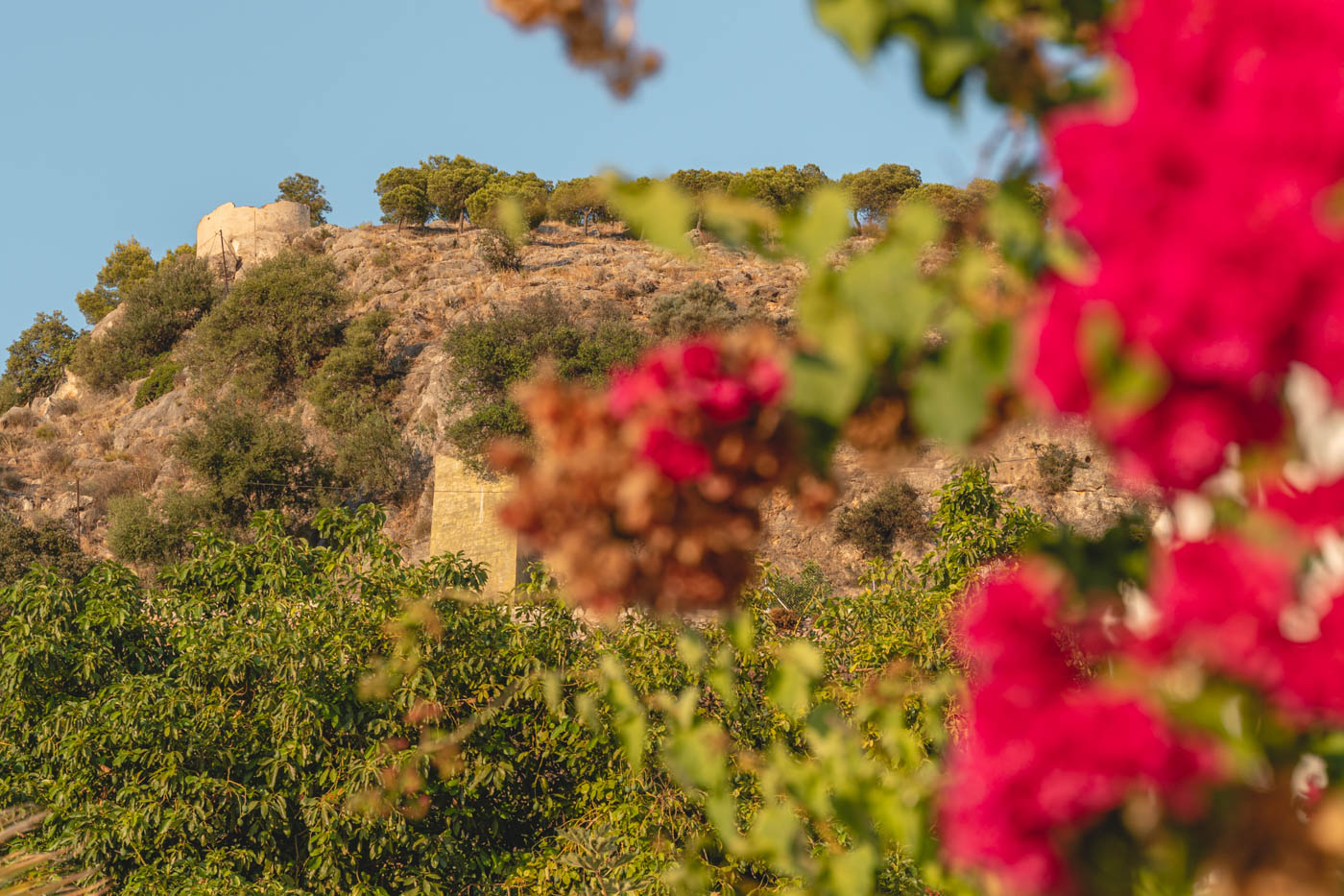 Una de tus rutas de senderismo 